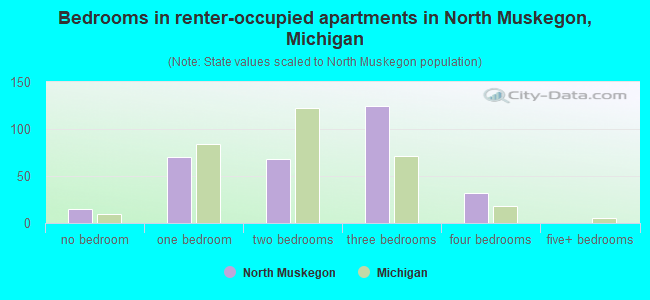 Bedrooms in renter-occupied apartments in North Muskegon, Michigan