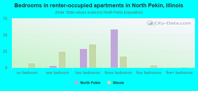 Bedrooms in renter-occupied apartments in North Pekin, Illinois
