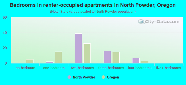 Bedrooms in renter-occupied apartments in North Powder, Oregon