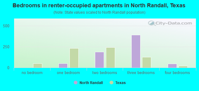 Bedrooms in renter-occupied apartments in North Randall, Texas