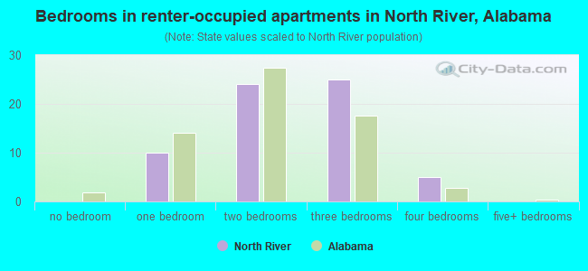 Bedrooms in renter-occupied apartments in North River, Alabama