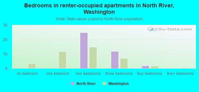 Bedrooms in renter-occupied apartments in North River, Washington