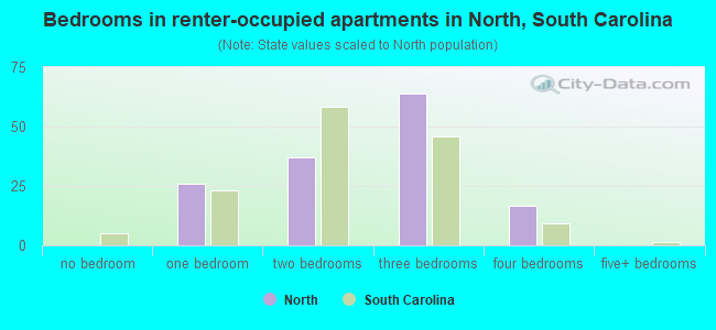 Bedrooms in renter-occupied apartments in North, South Carolina