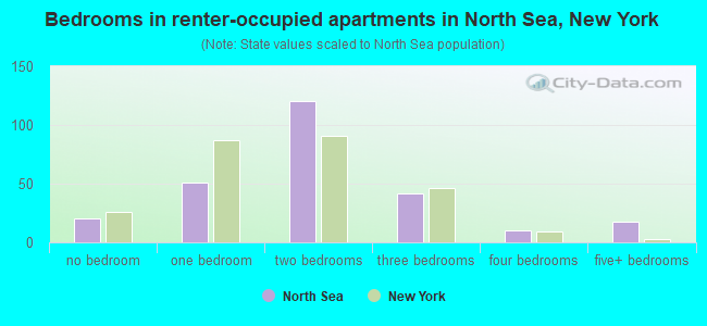 Bedrooms in renter-occupied apartments in North Sea, New York