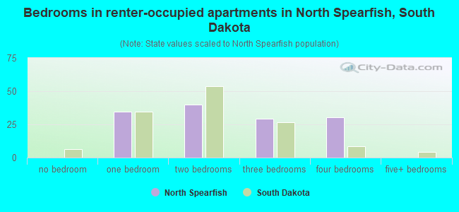 Bedrooms in renter-occupied apartments in North Spearfish, South Dakota