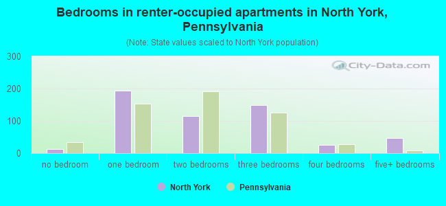 Bedrooms in renter-occupied apartments in North York, Pennsylvania