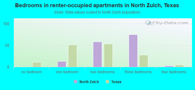 Bedrooms in renter-occupied apartments in North Zulch, Texas