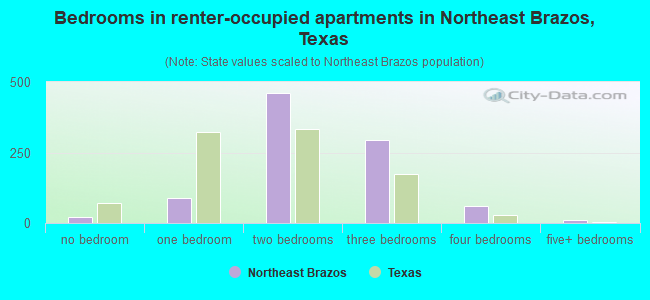 Bedrooms in renter-occupied apartments in Northeast Brazos, Texas