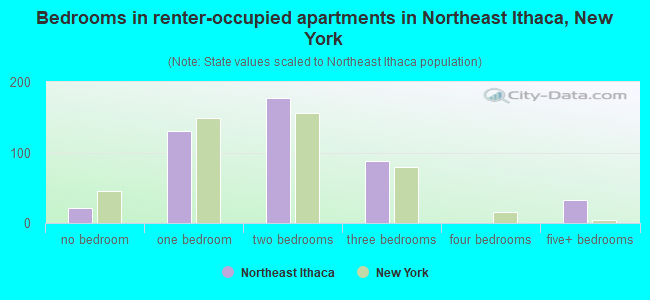 Bedrooms in renter-occupied apartments in Northeast Ithaca, New York