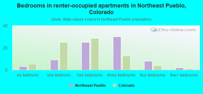 Bedrooms in renter-occupied apartments in Northeast Pueblo, Colorado