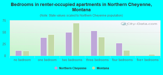 Bedrooms in renter-occupied apartments in Northern Cheyenne, Montana