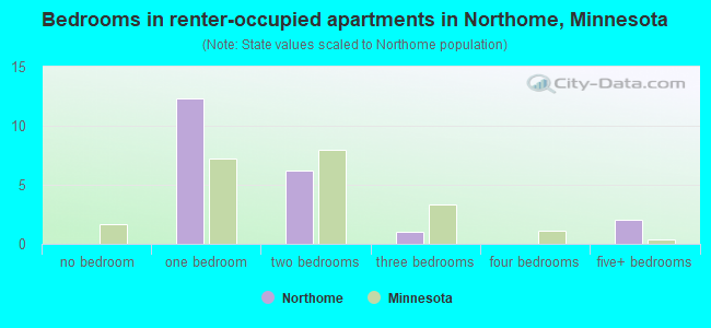 Bedrooms in renter-occupied apartments in Northome, Minnesota