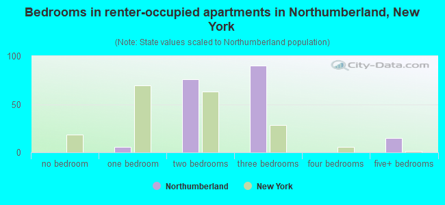 Bedrooms in renter-occupied apartments in Northumberland, New York