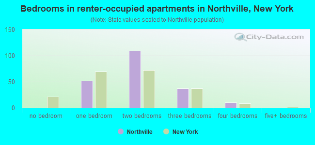 Bedrooms in renter-occupied apartments in Northville, New York