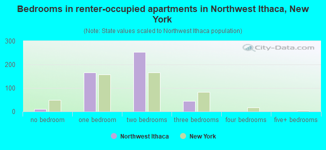 Bedrooms in renter-occupied apartments in Northwest Ithaca, New York