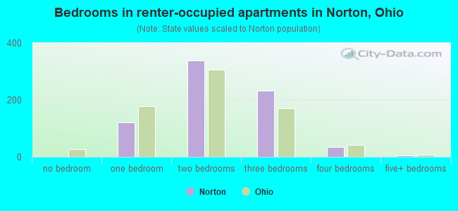 Bedrooms in renter-occupied apartments in Norton, Ohio