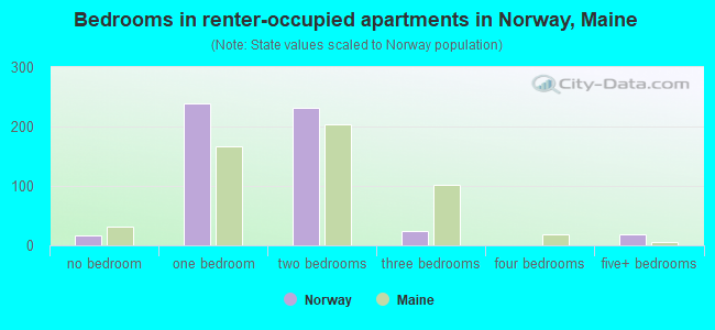 Bedrooms in renter-occupied apartments in Norway, Maine