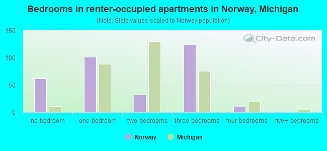 Bedrooms in renter-occupied apartments in Norway, Michigan