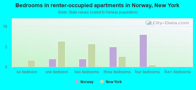 Bedrooms in renter-occupied apartments in Norway, New York