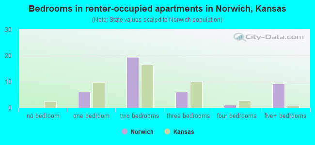 Bedrooms in renter-occupied apartments in Norwich, Kansas