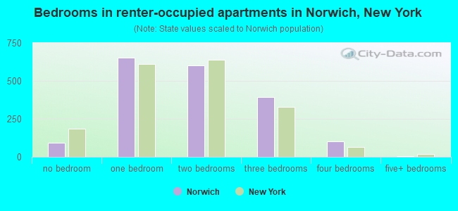 Bedrooms in renter-occupied apartments in Norwich, New York