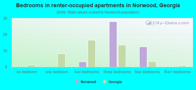 Bedrooms in renter-occupied apartments in Norwood, Georgia