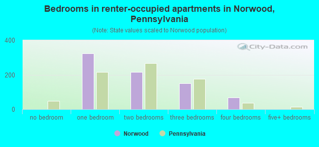 Bedrooms in renter-occupied apartments in Norwood, Pennsylvania