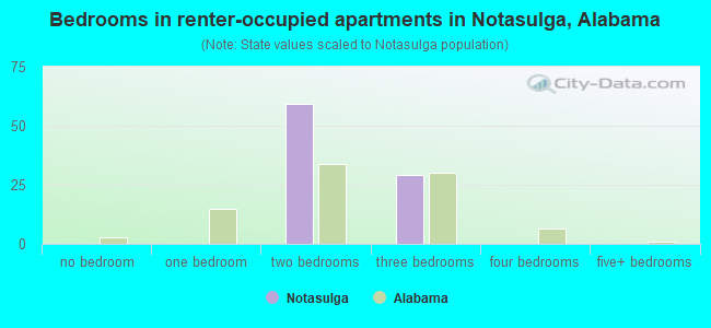 Bedrooms in renter-occupied apartments in Notasulga, Alabama