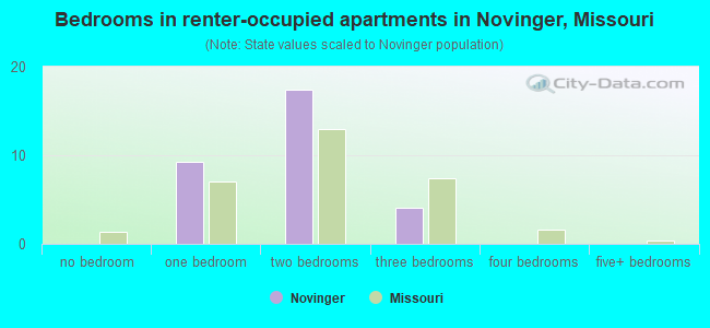 Bedrooms in renter-occupied apartments in Novinger, Missouri