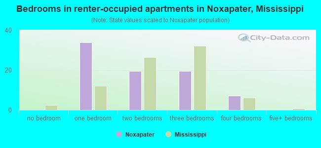 Bedrooms in renter-occupied apartments in Noxapater, Mississippi