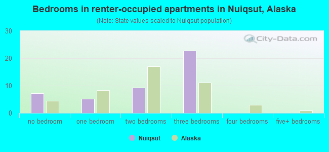 Bedrooms in renter-occupied apartments in Nuiqsut, Alaska