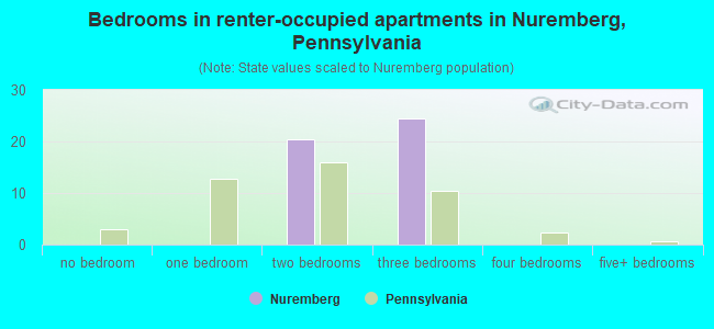 Bedrooms in renter-occupied apartments in Nuremberg, Pennsylvania