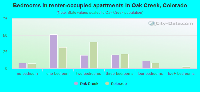 Bedrooms in renter-occupied apartments in Oak Creek, Colorado