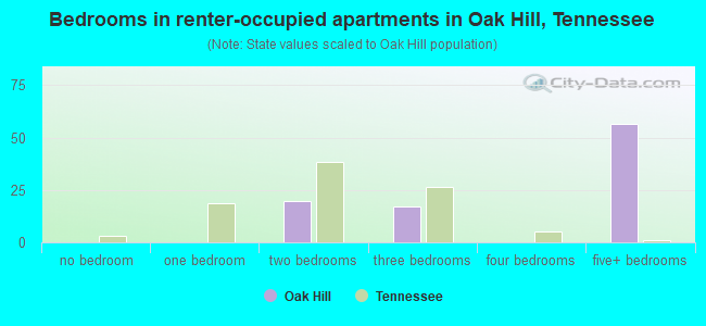 Bedrooms in renter-occupied apartments in Oak Hill, Tennessee