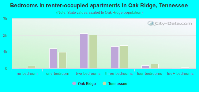 Bedrooms in renter-occupied apartments in Oak Ridge, Tennessee