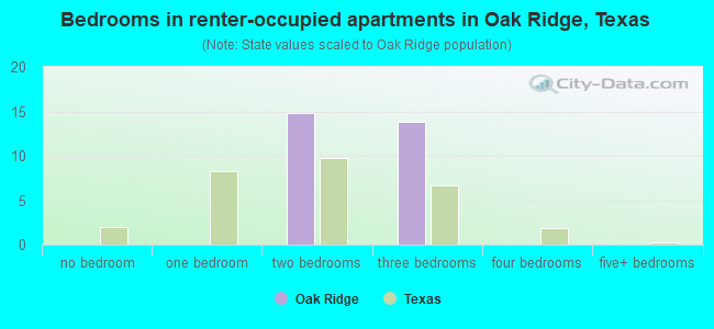 Bedrooms in renter-occupied apartments in Oak Ridge, Texas