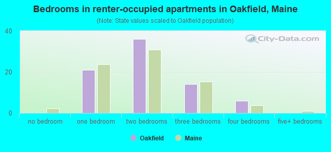 Bedrooms in renter-occupied apartments in Oakfield, Maine
