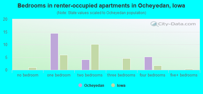 Bedrooms in renter-occupied apartments in Ocheyedan, Iowa