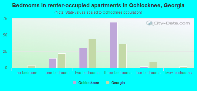 Bedrooms in renter-occupied apartments in Ochlocknee, Georgia