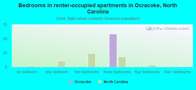 Bedrooms in renter-occupied apartments in Ocracoke, North Carolina