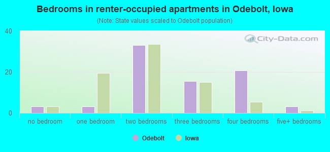 Bedrooms in renter-occupied apartments in Odebolt, Iowa