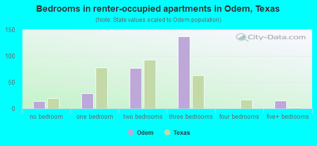 Bedrooms in renter-occupied apartments in Odem, Texas