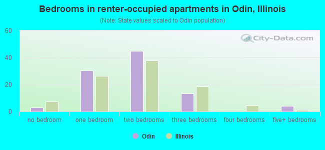 Bedrooms in renter-occupied apartments in Odin, Illinois
