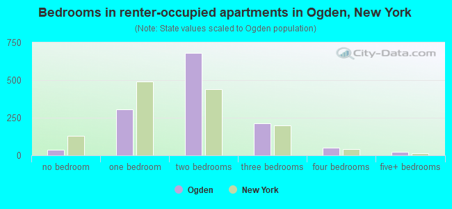 Bedrooms in renter-occupied apartments in Ogden, New York