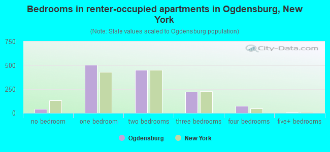 Bedrooms in renter-occupied apartments in Ogdensburg, New York