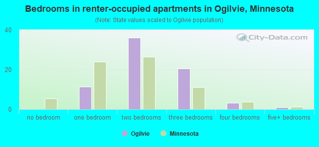 Bedrooms in renter-occupied apartments in Ogilvie, Minnesota