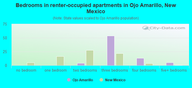Bedrooms in renter-occupied apartments in Ojo Amarillo, New Mexico