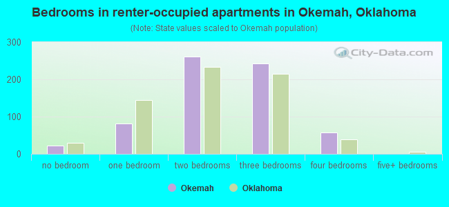 Bedrooms in renter-occupied apartments in Okemah, Oklahoma