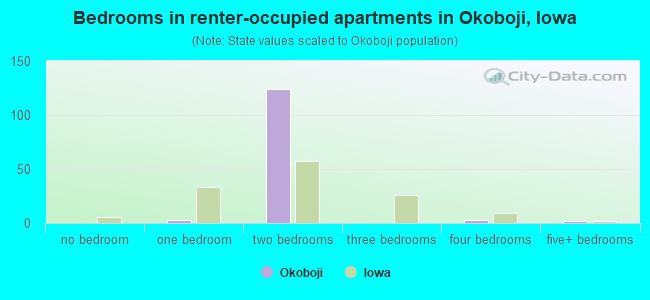 Bedrooms in renter-occupied apartments in Okoboji, Iowa