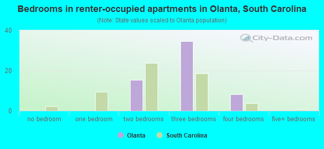 Bedrooms in renter-occupied apartments in Olanta, South Carolina